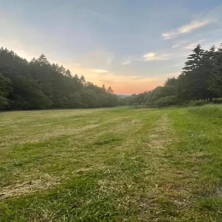 דירה Modern In Schwalefeld With Garden