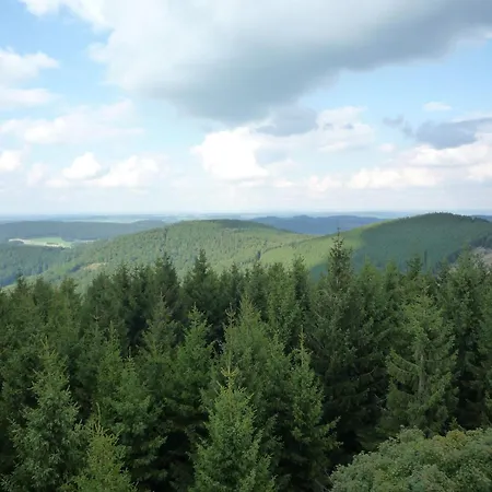 Apartman Modern In Schwalefeld With Garden *