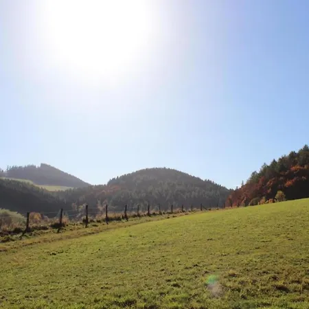 Modern In Schwalefeld With Garden Willingen