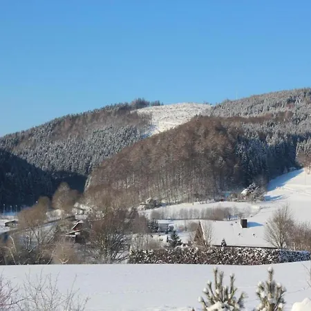 Apartman Modern In Schwalefeld With Garden *