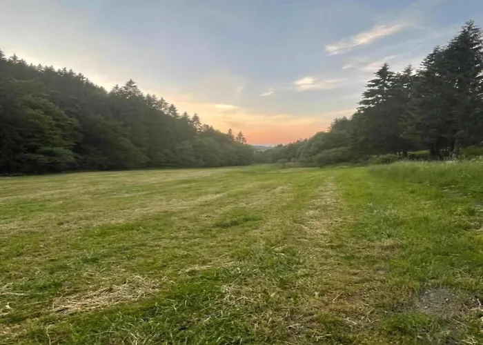 Apartamento Modern In Schwalefeld With Garden