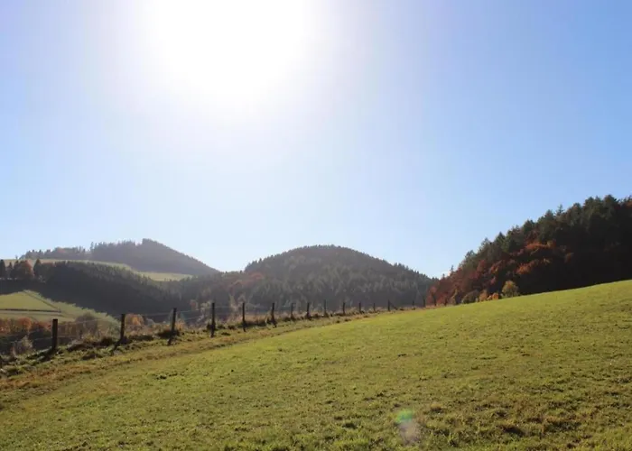 Modern In Schwalefeld With Garden Willingen (Upland)