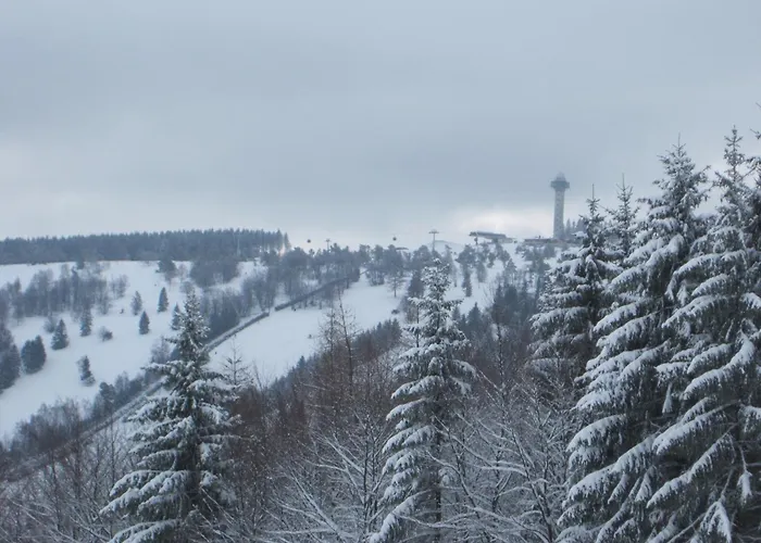 Apartamento Modern In Schwalefeld With Garden Willingen (Upland)