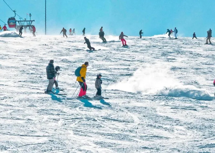 Modern In Schwalefeld With Garden *